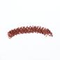Preview: Hair-Beauty.shop Lipstick Glossy/la-biosthetique-sensual-lipstick-glossy-lipstick-G335-cinnamon-glaze sample